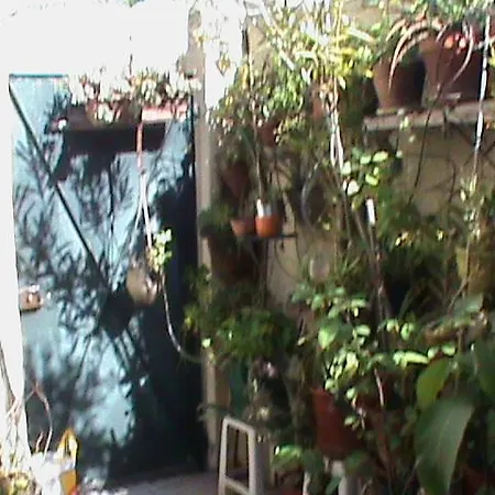 Casa Alfacinha Tipical House